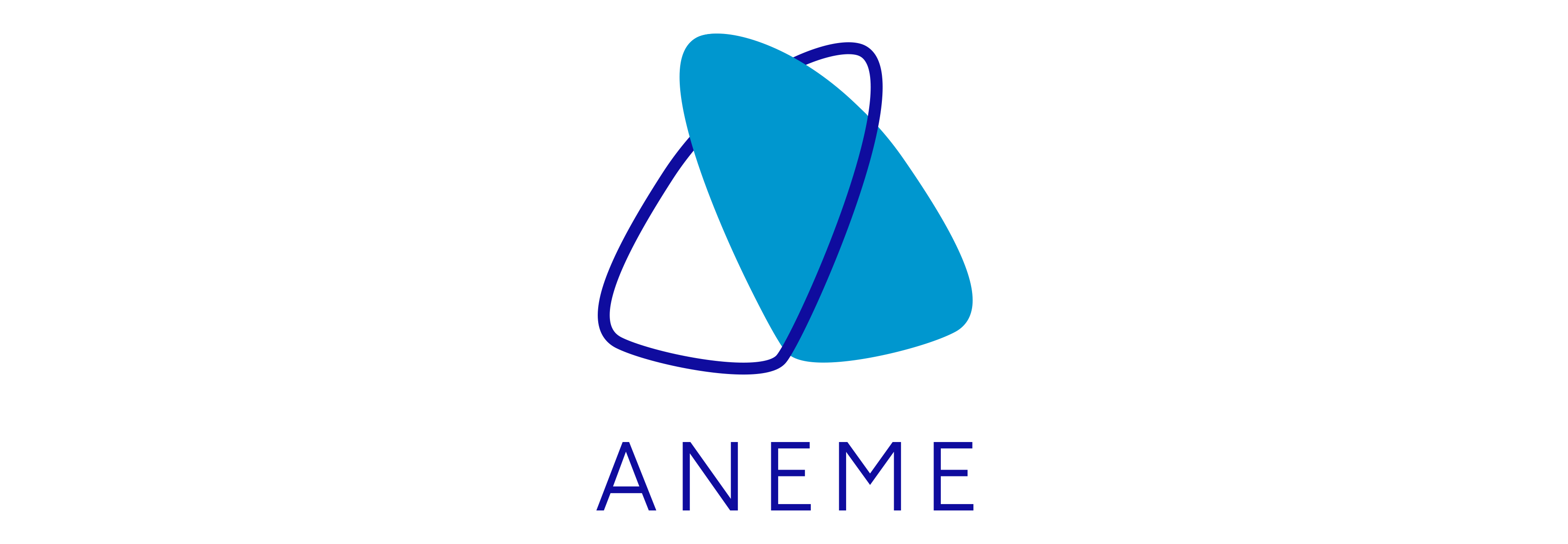 Aneme - Asociación de Neumólogos de Mérida logo